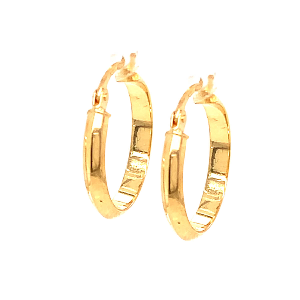 Hoop Earrings