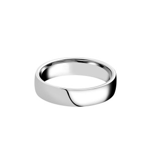 18ct White Gold Low Dome Court Wedding Ring